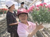「完璧な出来」まもなく母の日　高校生が栽培したカーネーションを販売　福島