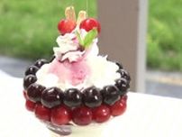サクランボ30粒のった“贅沢パフェ”も…つやつやの赤い宝石、収穫最盛期　福島