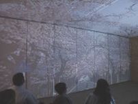 病室に満開の桜　病室にいながら風景映像体験できる技術開発　福島