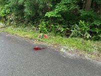 【速報】クマに顔を引っかかれ…74歳男性が重傷　右目付近の皮一部めくれる　福島・会津美里町