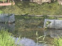 豪雨で被災の国宝「白水阿弥陀堂」庭園修復、10か月ぶり利用再開　福島・いわき市