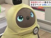 「赤ちゃんみたい！」かわいい、賢いロボット勢ぞろい　自分にぴったりの1台見つけよう　各地でイベント開催中　福島