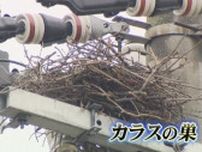AIシステムでカラスの巣を一掃へ　電線にまとわりつく巣の撤去で停電防ぐ　北陸電力送配電　富山