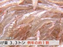 2500円の白エビ丼が5000円に⁉「こんなの初めて」不漁で飲食店の悲鳴　富山