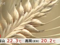 「麦秋」ビール麦上々　青空広がるなか「二条大麦」収穫始まる　富山・黒部市