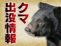 クマ 遺跡付近で目撃「パトロールするも痕跡見つからず」 富山県小矢部市桜町