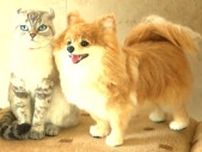 まるで本物”フェルトアート”　写真そっくり犬と猫　芸術的な人形展示会（山形・酒田市）