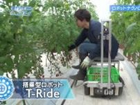 農作業をラクにする！　ロボット台車「T-Ride」　トマトの収穫は自動で横移動　足の負担少なく