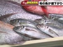マダイが100円値下がり、天候が安定し漁獲量は順調に増加　アジは今後も価格が下がると予想