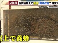 「おいしい。キャラメルっぽい味」　名古屋栄三越の屋上で取れた蜂蜜　2024年は60キロ目指し暑さ対策