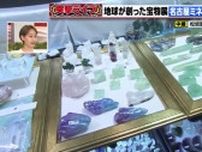 550万円の石！　隕石や化石…珍しい石が集まる「名古屋ミネラルマルシェ」が名古屋で開催