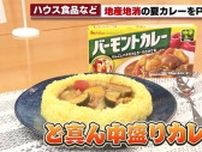 愛知県産の豚肉・コメ・野菜を使った「ど真ん中盛りカレー」で地産地消PR