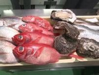 「猛暑で魚の状態が良くない」マダイは50円値上がり　岩ガキは生産量減少で例年より200円高く