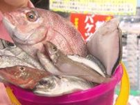 「鮮魚バケツ盛り」1盛864円も　愛知・知多市の産地直送「げんきの郷」リニューアル　面積2倍以上