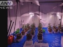 大麻所持の疑いで男2人逮捕　自宅などで大麻を栽培した疑いで現行犯逮捕も　栃木県警