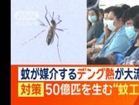 デング熱が猛威　「蚊を蚊で駆除する」対策…年間50億匹を飼育“蚊工場”とは？