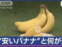 “安いバナナ”と“高いバナナ”…何が違う？　味ではない…高い値段の理由
