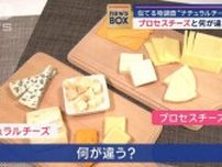 似てる物調査　“ナチュラルチーズ”と“プロセスチーズ”　何が違うの？