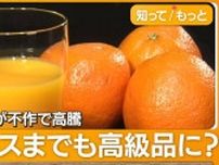 オレンジジュース休売次々　不作＆円安で国産みかんに注目　農家に追い風？
