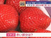 イチゴの赤い部分は“果実”ではないんです…あれは種？茎？花？