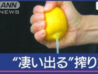レモン 丸ごと“数秒で搾り切る”方法…包丁いらず！手も汚れず！凄い出る！