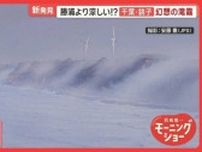 勝浦より涼しい！？千葉・銚子市に注目　「夏は涼しく、冬は暖かい」市も太鼓判