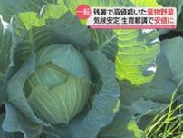 高騰続きの葉物野菜…気候とともに値段も落ち着き傾向　生産者や飲食店から喜びの声も（静岡県）