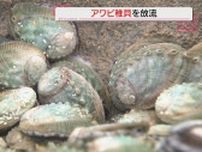 アワビの稚貝を放流で漁業資源回復を（静岡・熱海港）