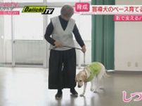 【盲導犬候補を育てる】パピーウォーカーの10か月に密着（静岡・掛川市）