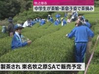 【新茶シーズン】中学生が茶娘・茶息子姿で茶摘み（静岡・牧之原市）