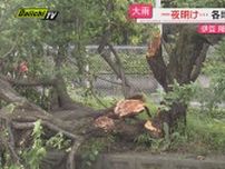 【天気回復も爪痕】前線を伴った低気圧の影響で前日から県内は大雨に強風…倒木などの被害も確認（静岡）