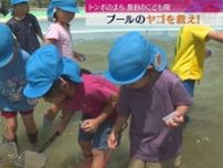 プールに棲みついたヤゴを救え！園児たちが約70匹保護（静岡・磐田市）