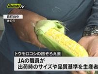 【特産】トウモロコシの「目ぞろえ会」開催　出荷最盛期へ　静岡・森町　３０日