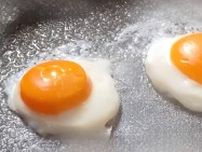 ＜裏技＞1つの卵で2つの目玉焼きを作る節約術！魚のウロコを1分で取る方法も