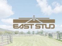 ［連載］イーストスタッドブログ・第7回　新種牡馬、レッドルゼルについて
