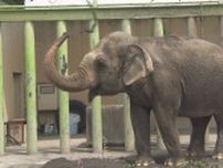 「居心地のいい環境にしたくて」甲府市立動物園でゾウの砂場に砂入れ作業　休園中に特別イベント