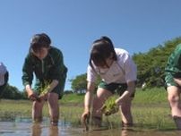 高校生が大正時代から続く伝統の授業「田植え」体験　稲作文化や農業の大切さ学ぶ
