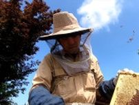 「山梨の養蜂を盛り上げていきたい」　祖父が始めた養蜂業受け継いだ男性　新ブランド立ち上げも