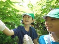 桑の実の観光農園オープン　地元小学生が摘み取り体験　