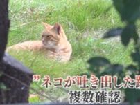 毒物混入か　危険なネコのエサ　地域ネコの見守り活動の場所で発見　おう吐の跡も　山梨