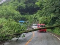 雨量が100mm超えたところも　交通や学校に影響　県道では倒木　山梨
