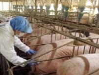 栃木県で「豚熱」発生受けて　県も対策確認　ワクチンは接種済み・防護柵など設置を【新潟】