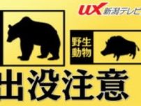 【速報】阿賀町で男性がクマに襲われけが 自宅裏の竹林で遭遇 指かまれ頭もケガ【新潟】