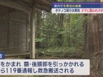 【クマ被害】今シーズン初被害 タケノコ狩りの男性が襲われケガ 自宅裏の竹林で遭遇【新潟･阿賀町】