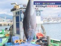 佐渡市で200kg級クロマグロ4本が一挙水揚げ 漁師たち歓喜【新潟･佐渡市】