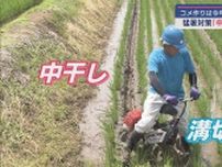 夏の猛暑に再び挑む米農家へ−JAが指導する2つの対策：｢中干し｣と｢溝切り｣とは【新潟】