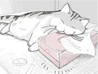 【ネコ漫画】ティッシュ箱を枕に堂々と寝る猫!?気持ちよさそうな姿に「あるある」と共感の声多数