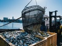 Tカードのビッグデータを活用して未利用魚を商品化　持続可能な食の取り組みを行う「未利用魚活用プラットフォーム」