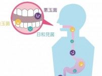 口内の菌が“美肌作り”に影響する可能性あり!?多くの人が知らない落とし穴とは