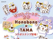 タマ＆フレンズが大人気イラストレーターHonobonoとコラボ！タマの誕生日にオリジナルLINEスタンプを発売